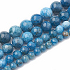 Natural Apatite Beads Strands LS-G-S333-7.5mm-012-2
