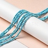 Natural Howlite Beads Strands G-C025-03B-02-2