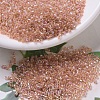 MIYUKI Delica Beads SEED-J020-DB0054-1