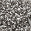 Transparent Glass Round Seed Beads SEED-B001-05A-12-3