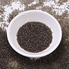 MIYUKI Delica Beads Small SEED-X0054-DBS0123-2
