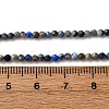 Natural Lapis Lazuli Beads Strands LS-G-L629-B01-2mm-03-5
