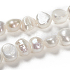 Natural Cultured Freshwater Pearl Beads Strands PEAR-G007-06B-4