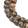 Natural Aqua Terra Jasper Beads Strands G-K317-A02-01-4