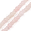 Natural Rose Quartz Beads Strands G-P595-B01-01-2