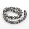 Frosted Natural Map Stone/Picasso Stone/Picasso Jasper Round Bead Strands G-M272-08-10mm-2