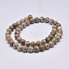 Natural Maifanite/Maifan Stone Beads Strands G-F353-6mm-4