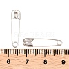 Iron Safety Pins NEED-D006-22mm-5