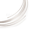 Stainless Steel Memory Wire X-STAS-S074-05-3