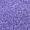 MIYUKI Delica Beads X-SEED-J020-DB0249-3