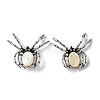 Dual-use Items Alloy Spider Brooch JEWB-C026-06J-AS-1