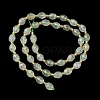 Natural Prehnite Beads Strands G-F809-A06-01-3
