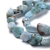 Natural Larimar Beads Strands G-K203-91-2