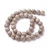 Natural Fossil Coral Beads Strands G-F563-02-8mm-2
