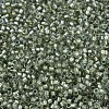 MIYUKI Delica Beads X-SEED-J020-DB2378-2