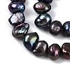Natural Cultured Freshwater Pearl Beads Strands PEAR-L033-42D-01-4