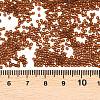 MIYUKI Delica Beads X-SEED-J020-DB2403-3