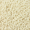 MIYUKI Round Rocailles Beads X-SEED-G007-RR0492-3
