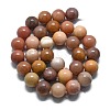 Natural Petrified Wood Round Beads Strands G-D356-C01-10mm-2