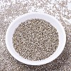 MIYUKI Delica Beads X-SEED-J020-DB0680-2