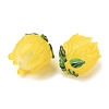 Handmade Lampwork Beads LAMP-F041-02C-3