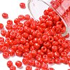8/0 Baking Paint Glass Seed Beads SEED-US0001-04-3mm-2