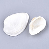 Clam Shell Beads SSHEL-S258-43-2