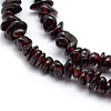 Natural Garnet Beads Strands G-P332-77-2