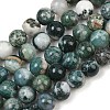 Natural Tree Agate Beads Strands X-G-I199-03-10mm-2