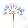 Natural Aquamarine Display Decorations PW-WG3C0D9-03-1