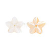 Natural Freshwater Shell Beads BSHE-T014-14-3