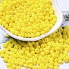 Baking Paint Glass Seed Beads X1-SEED-B001-02A-03-1