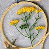 DIY Transparent Fabric Embroidery Kits DIY-K032-79B-1