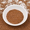 MIYUKI Delica Beads X-SEED-J020-DB2287-2