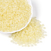 Baking Paint Glass Seed Beads GLAA-T023-43L-3