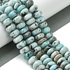 Natural Larimar Beads Strands G-H004-A01-01-2