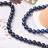 Natural Lapis Lazuli Beads Strands G-K311-02A-01-5