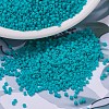 MIYUKI Delica Beads SEED-X0054-DB0793-1