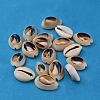Natural Cowrie Shell Beads X-BSHE-S052-1