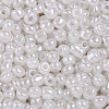 6/0 Glass Seed Beads SEED-US0003-4mm-141-2