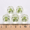 Transparent Acrylic Beads TACR-S154-19A-83-4