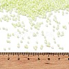 Baking Paint Glass Seed Beads X-SEED-S042-15B-24-4