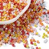 Baking Paint Glass Seed Beads X-SEED-S042-05A-07-1