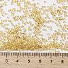 MIYUKI Round Rocailles Beads X-SEED-G009-RR0003-2