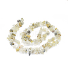 Natural Gold Rutilated Quartz Chip Bead Strands X-G-M205-18-2