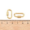 304 Stainless Steel Locking Carabiner STAS-C092-04D-G-3