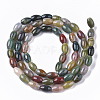 Natural Indian Agate Beads Strands G-S364-014-2
