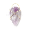 Natural Amethyst Pendants PALLOY-JF01357-1