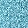 TOHO 11/0 Round Beads X-SEED-TR11-0976-2