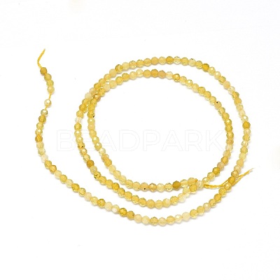 Natural Yellow Opal Beads Strands G-O180-05B-1